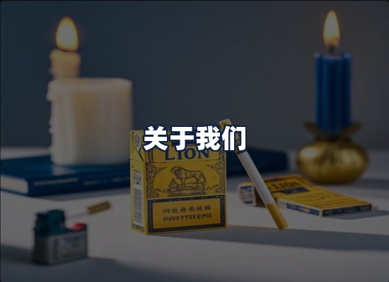 关于我们
